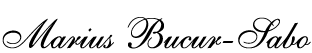 Marius Bucur-Sabo.ro